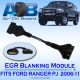 EGR Blanking Module 005 Ford Ranger PJ 2.5L