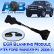 EGR Blanking Module 005 Ford Ranger PJ 2.5L